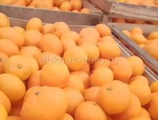 мандарин продаю  всё подряд по 50 руб