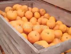 мандарин продаю всё подряд по 50 руб