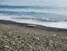 Нужны 4 палета. Кто может дать, пожалуйста, позвоните. Заранее благодарю.