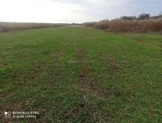 Срочно продаю