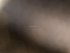 Продам дрова 