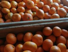 Продам мандарин 🍊 а так же лимон 🍋 