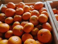 Продам мандарин 🍊 а так же лимон 🍋