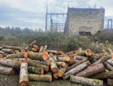 Продаю дрова