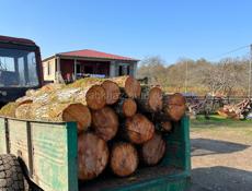 Продаю дрова