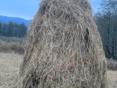 Продаю Сено