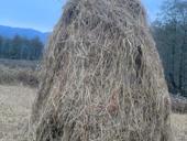 Продаю Сено