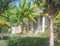 Агудзера дом под присмотр (звонить только на Вацап)