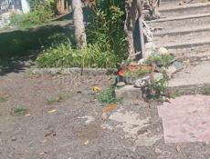 пгт.Агудзера   ДОМ под  ПРИСМОТР (писать только Вацап)