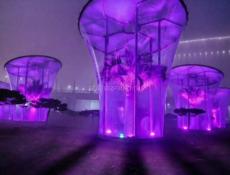 Поездка в Парк Галицкого