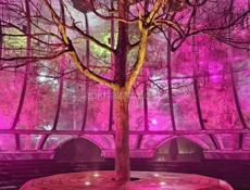 Поездка в Парк Галицкого