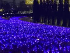 Поездка в Парк Галицкого