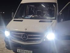 Поездка в Парк Галицкого