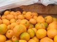 Мандарины 