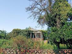 Бабушара, 1 Уарчинская участок 35 соток с домом под восстановления