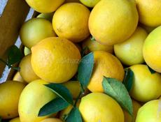 Лимоны