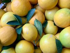 Лимоны