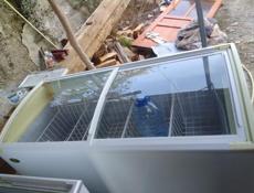 Сдаёться в аренду морозильная лар