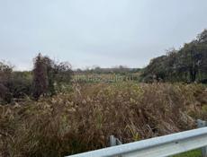 Срочно очень 6 соток по трасе