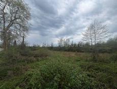 Земельный участок