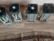 Из четырёх 2 работают