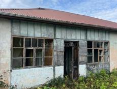 с. Лыхны чайная фабрика 