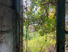 с. Лыхны чайная фабрика