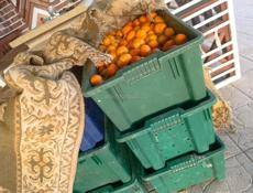 Продаю мандарины