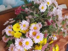 Ищу работу. 