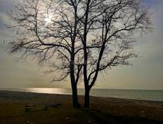 Сниму длительно