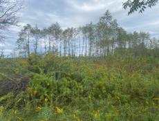 🔥АЭРОПОРТ 🔥