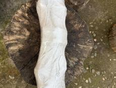 Коленвал N55B30