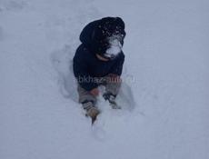 В поисках любой работы парень 23 года 