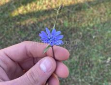 Айфон 11 белый 64 гб 