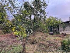 Земельный участок 25 соток