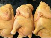 Куры чищеные