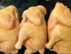 Куры чищеные