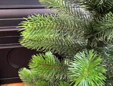 Распродажа ёлок