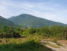 Срочно продаю большой земельный участок