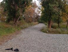 АЭРОПОРТ БАБУШАРА