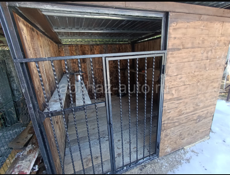 Вальер для собак 50тыс