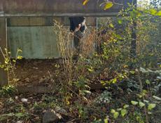 Гараж 6 метр