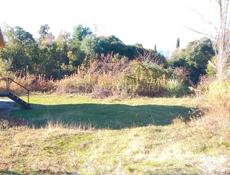 Участок 33 сотки агу над ракушкой лучшее место под постройку