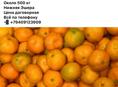 Продаю мандарин