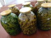 Горкый солнечный перец