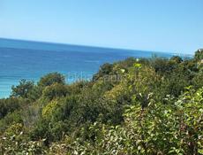 Гагра (Багрыпста)