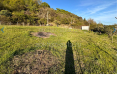 Песчаный пляж 