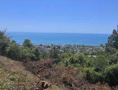 Гагра . Цандрипш