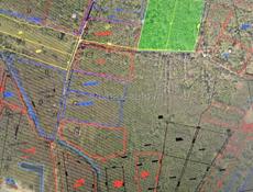 Тамыш срочно 