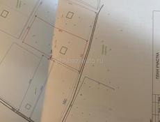 Тамыш срочно